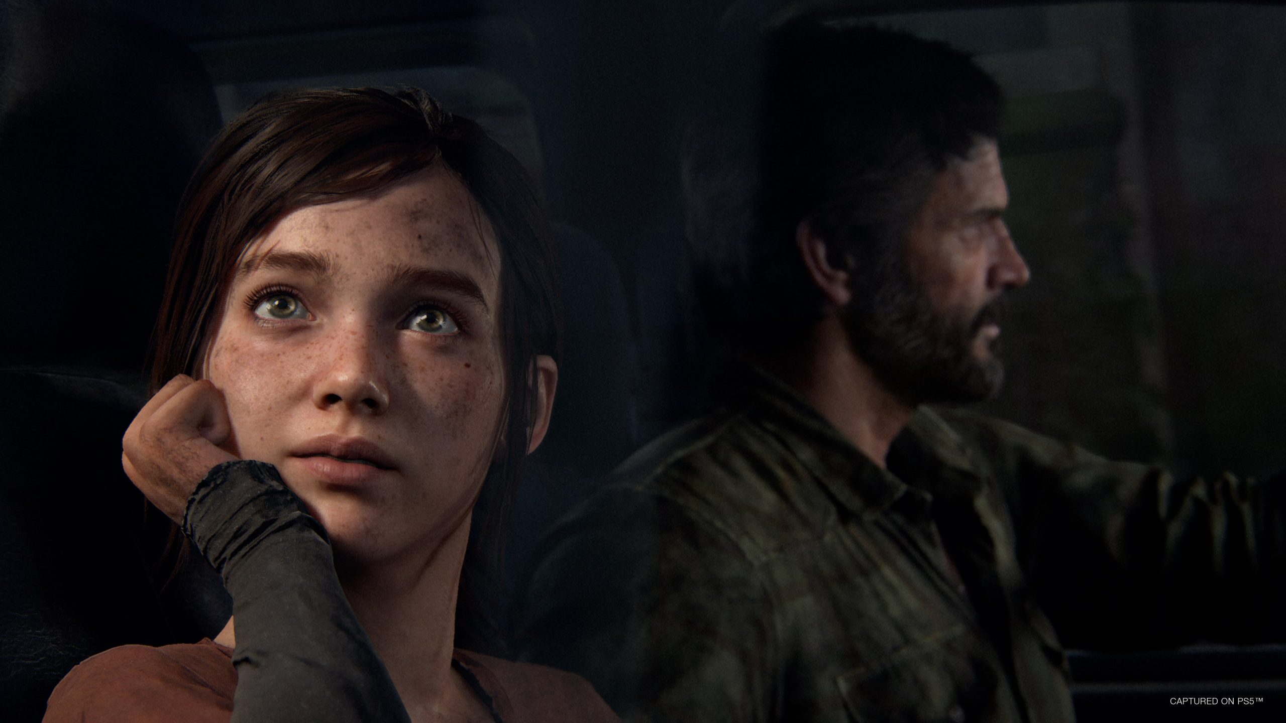 Desktop Wallpapers vdeo game The Last of Us 2 Blood 2560x1440