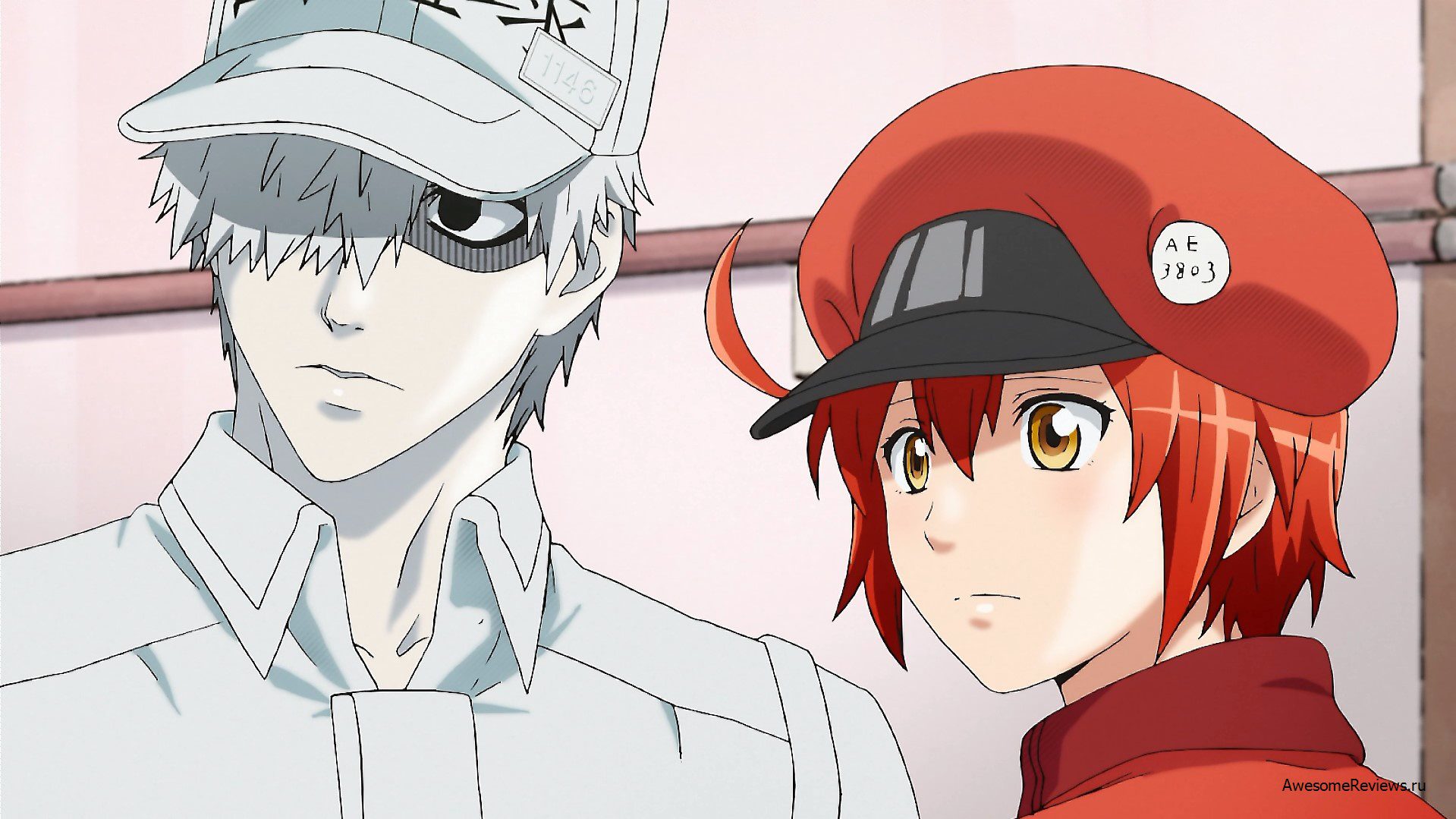 Revelada duração do filme especial anime de Cells at Work! que vai estrear  em Setembro