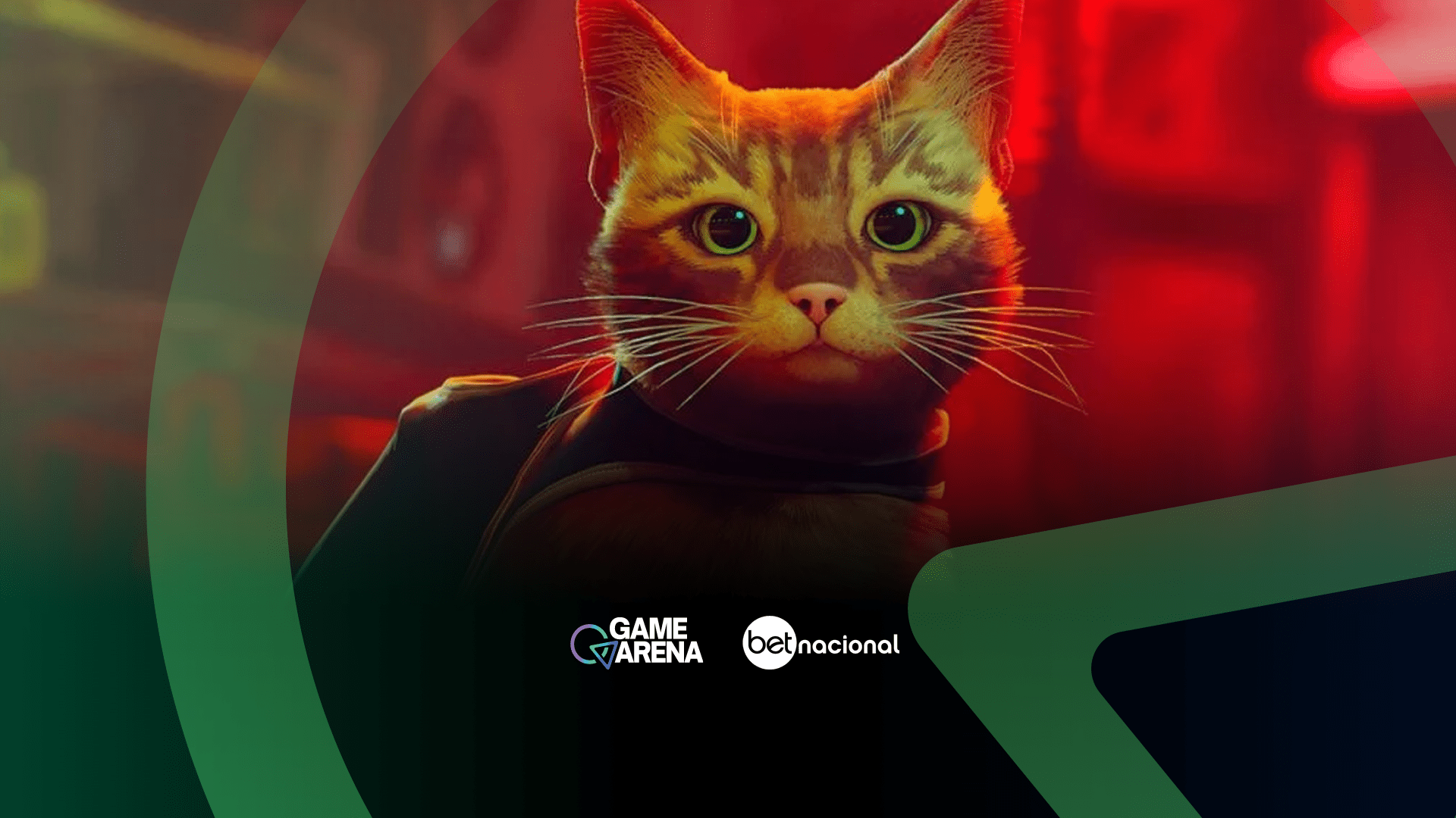 Stray, o jogo do gato, deve chegar ao Xbox em breve