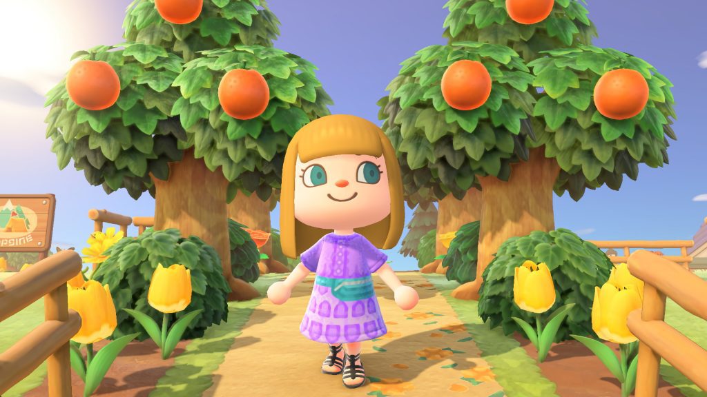 Animal Crossing New Horizons