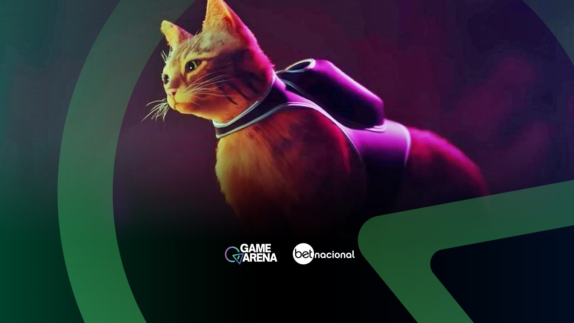 Dia Internacional do Gato: os maiores felinos dos games