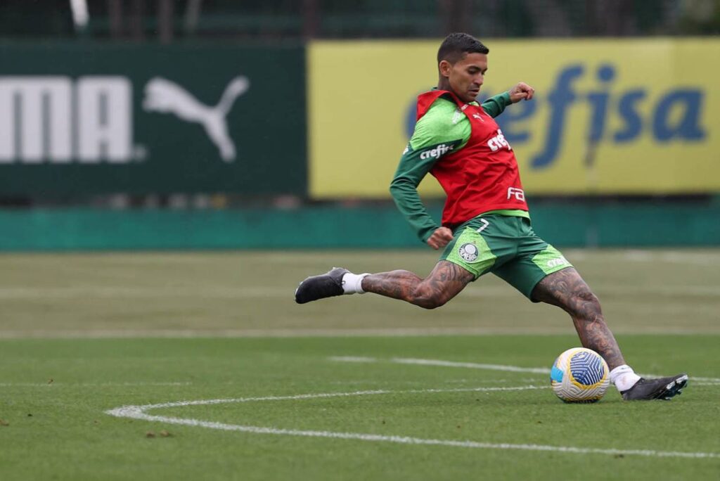 Dudu vai perder jogos importantes para a temporada do time. Foto: Cesar Greco/Palmeiras