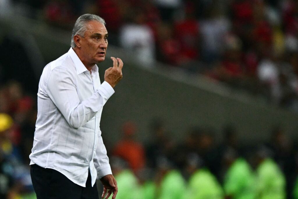 Tite é mais um técnico demitido no Brasileirão