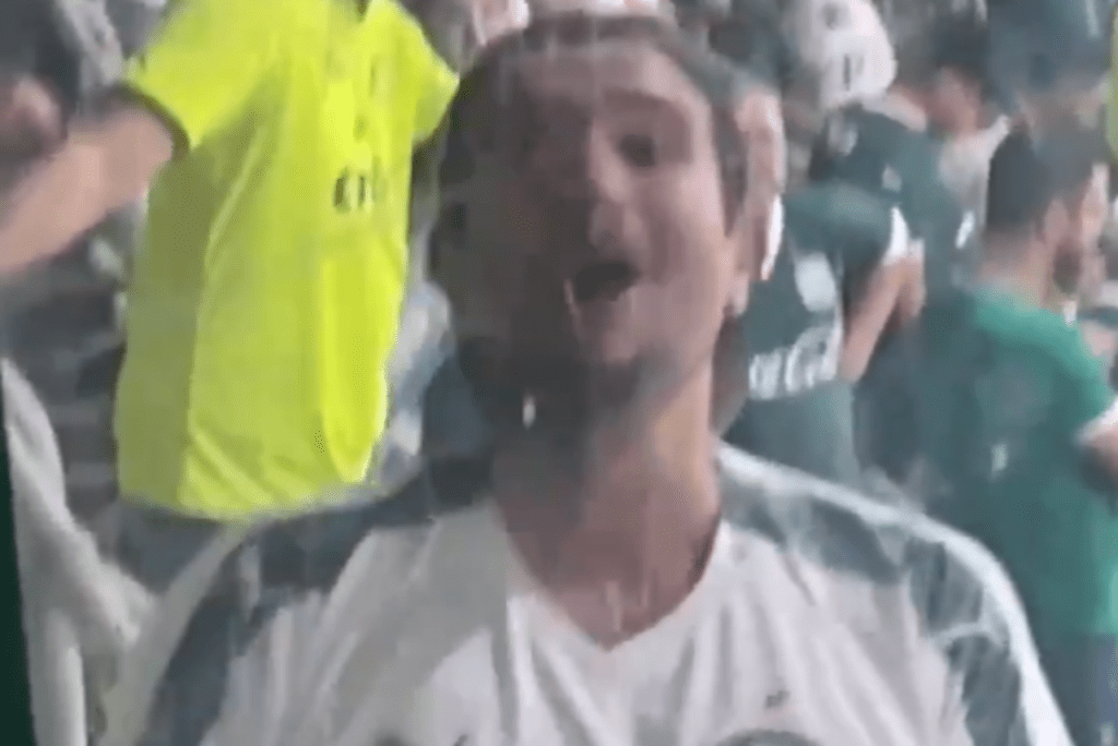 Torcedor do Palmeiras comete crime de ato obsceno no Allianz Parque