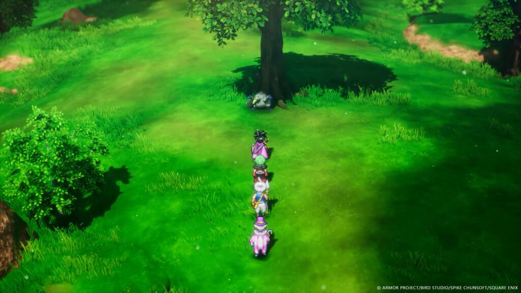 Imagem do Domador de Monstros em Dragon Quest 3 HD-2D