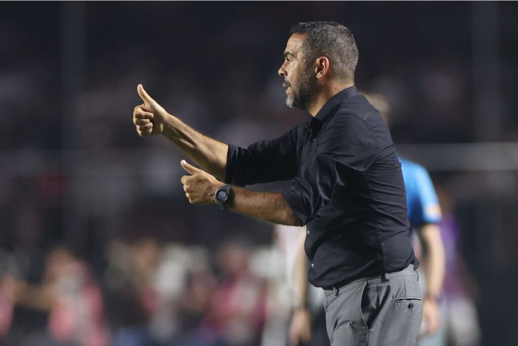 Técnico do Botafogo durante classificação