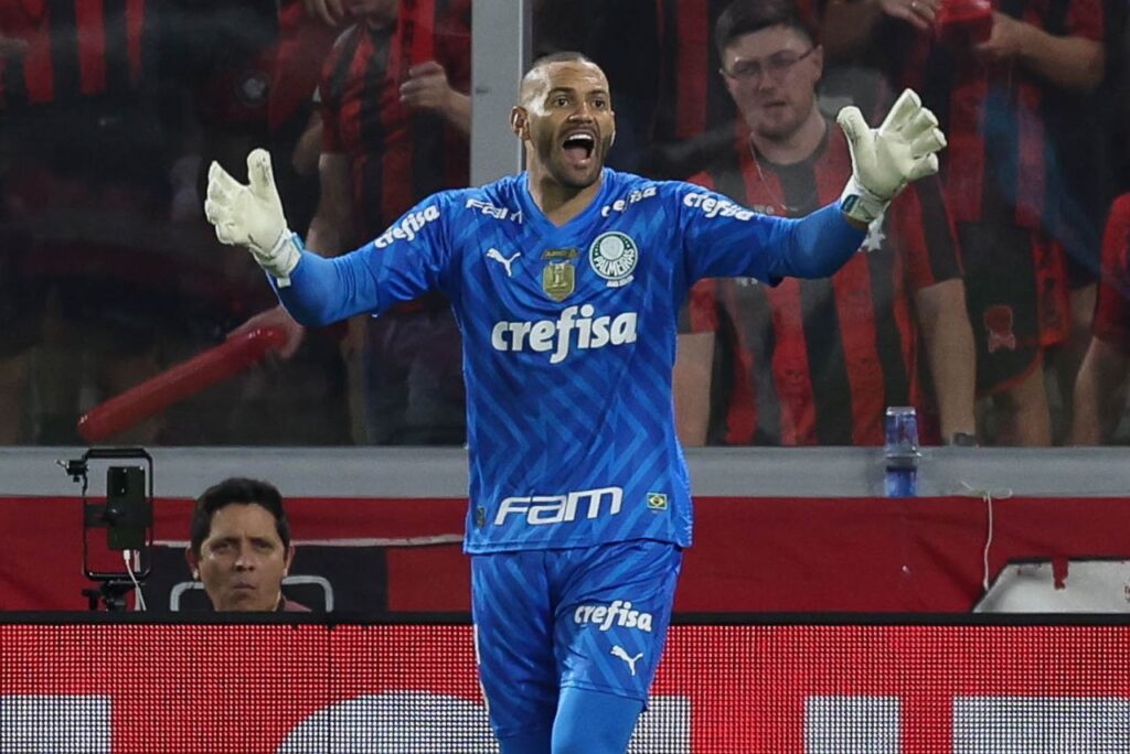 Weverton, goleiro do Palmeiras (Foto: Cesar Greco/SEP)