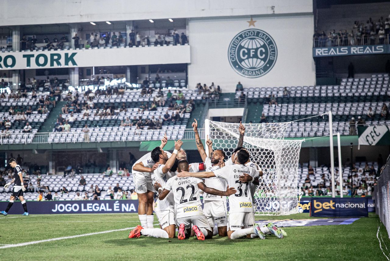 Jogadores do Santos comemoram gol que confirmou acesso na Série B