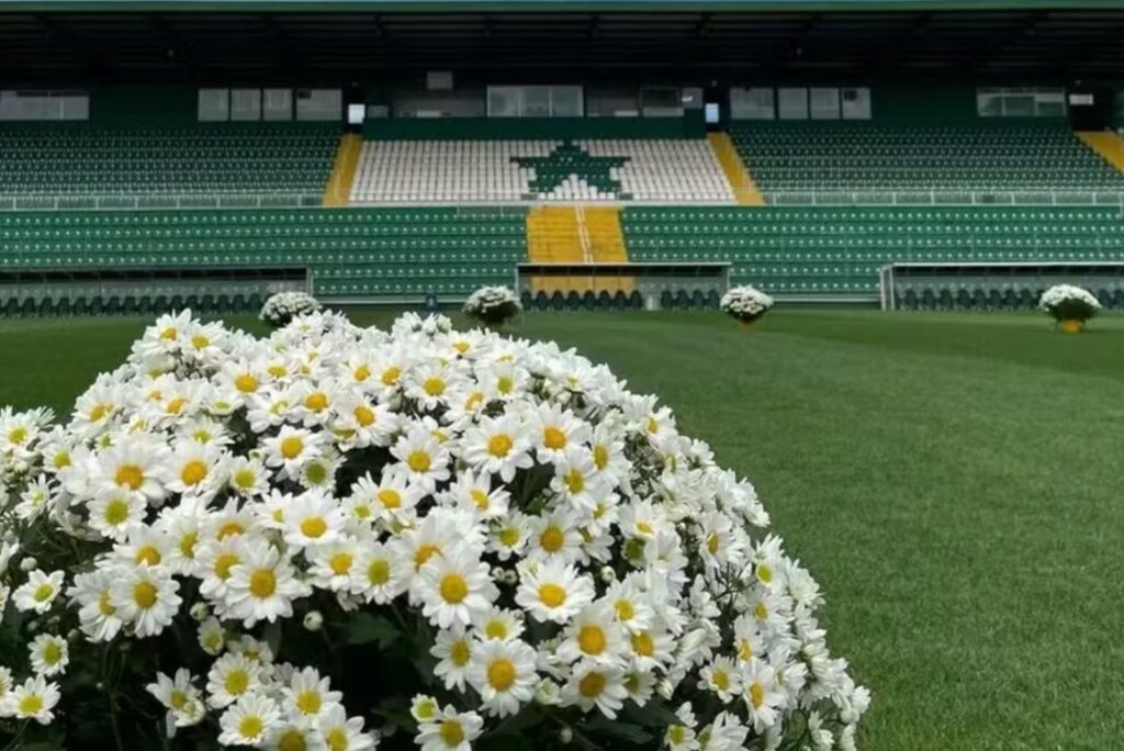 Flores no gramado do estádio da Chapecoense