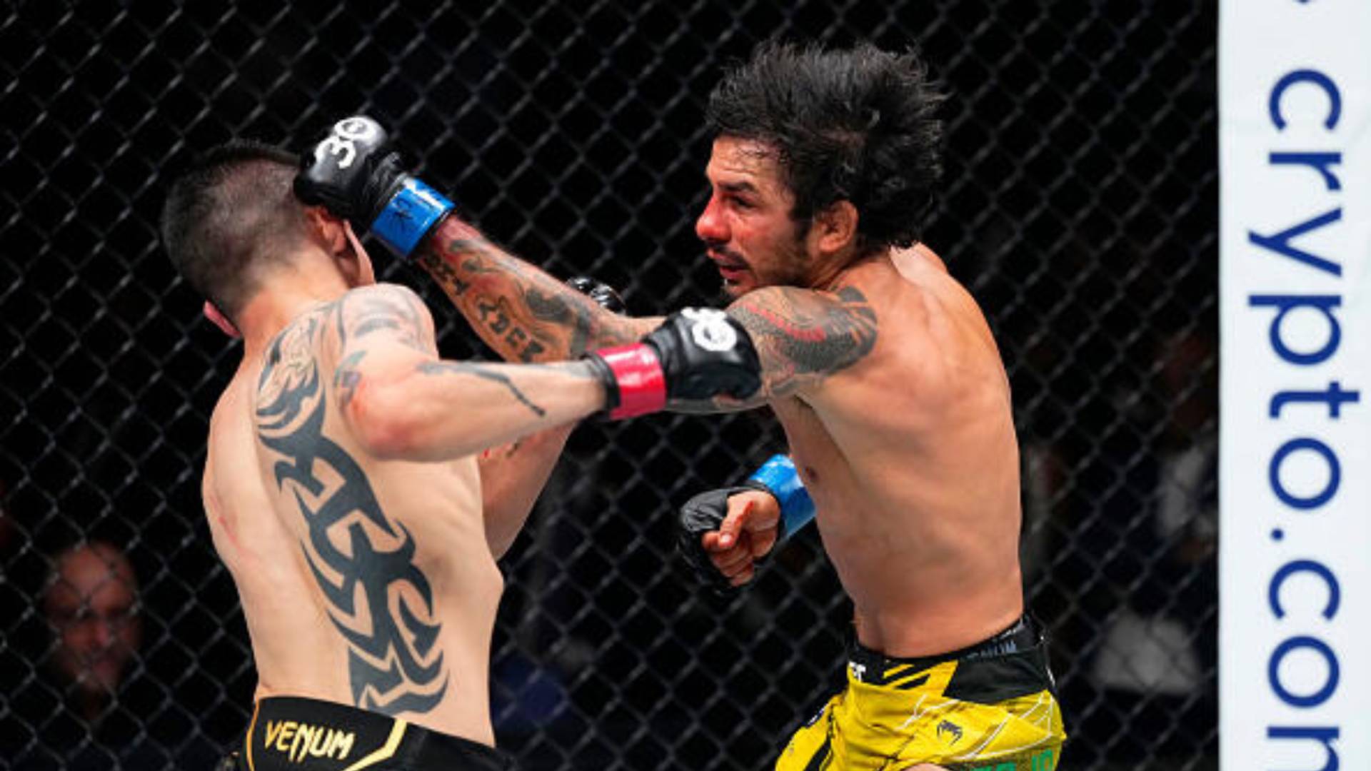 Alexandre Pantoja durante o UFC 290 quando conquistou o cinturão. Foto: Jeff Bottari/Zuffa LLC