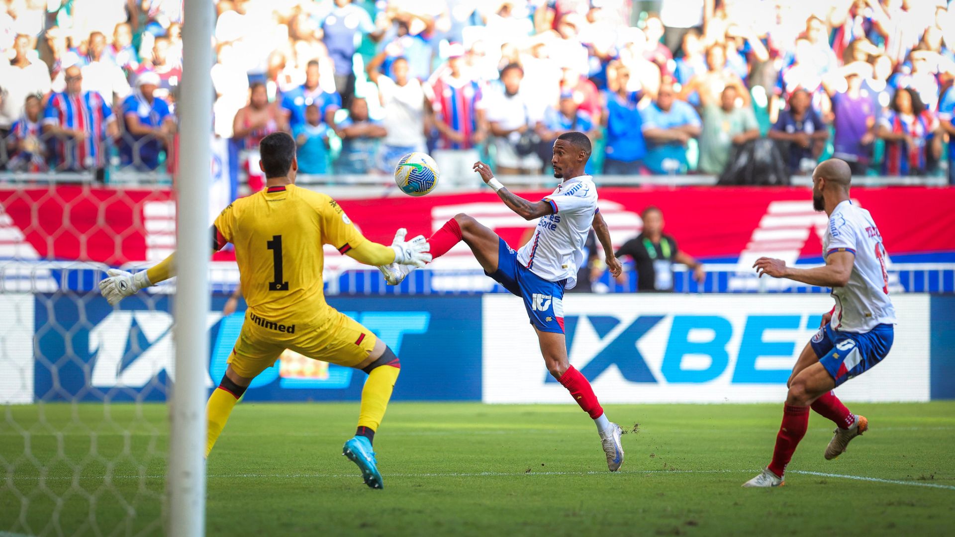 Bahia garante última vaga brasileira na Libertadores 2025; veja todos