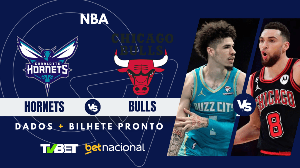 Hornets x Bulls