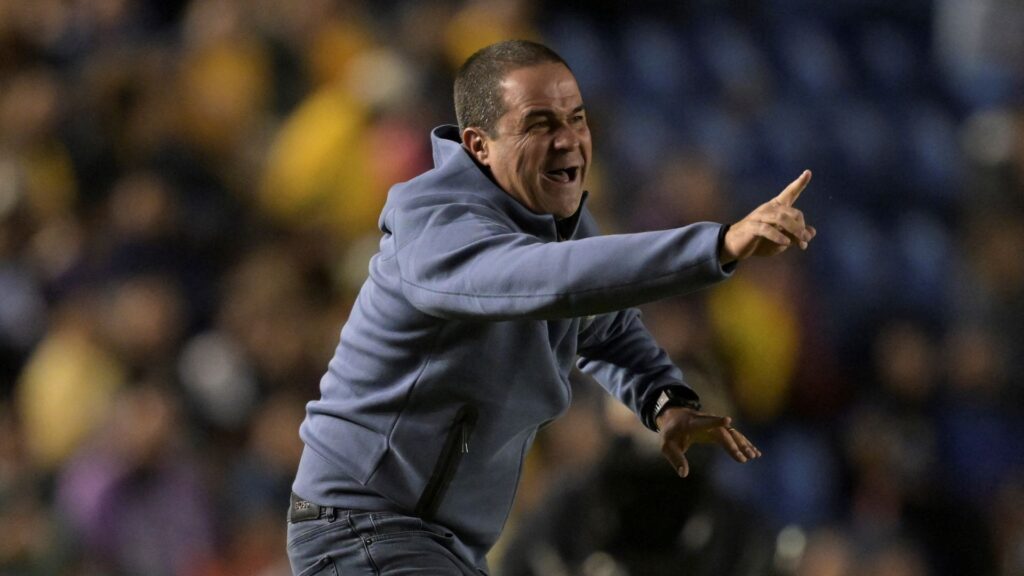 André Jardine (foto) é alvo do Botafogo