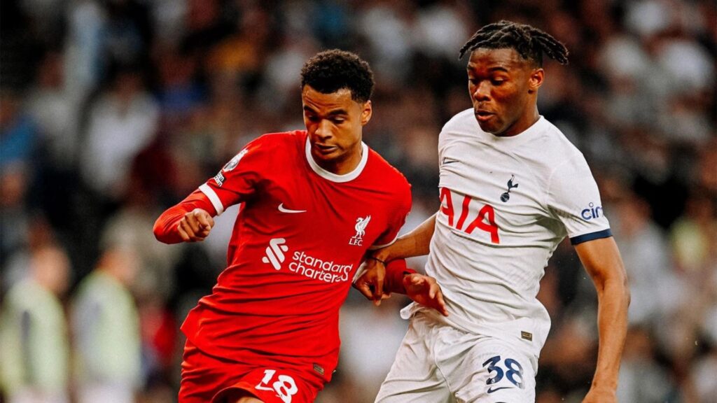 Tottenham e Liverpool se enfrentam pelas semifinais da Copa da Liga Inglesa (Foto: Reprodução)