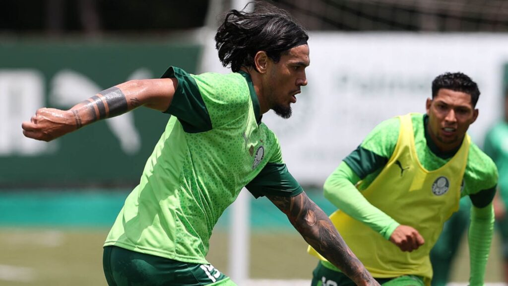 Gustavo Gómez, zagueiro do Palmeiras (Foto: Cesar Greco/SEP)