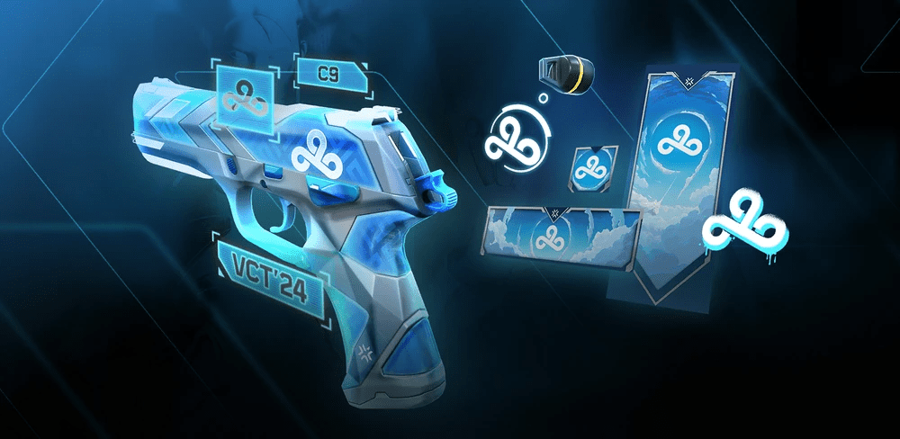 Cloud9 2024 Skin VCT