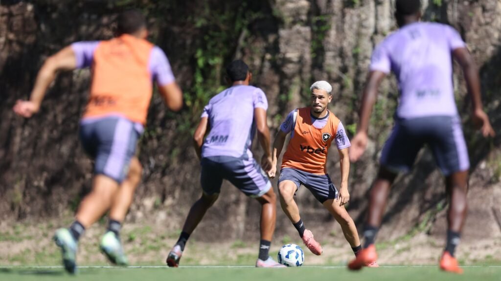 Botafogo encara o Capital pela Copa do Brasil (Foto: Vítor Silva/BFR)