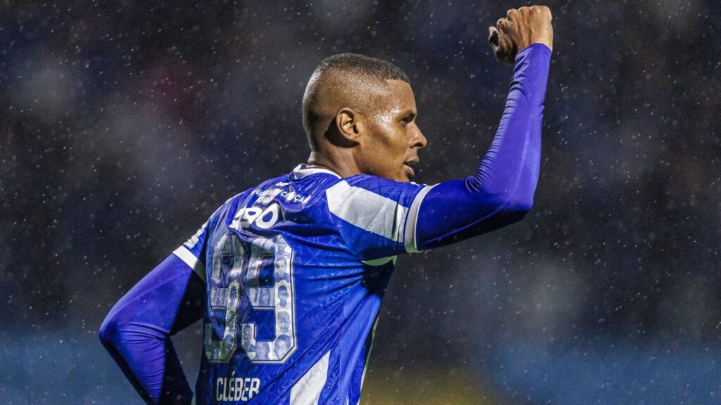 Cléber comemora gol pelo Avaí