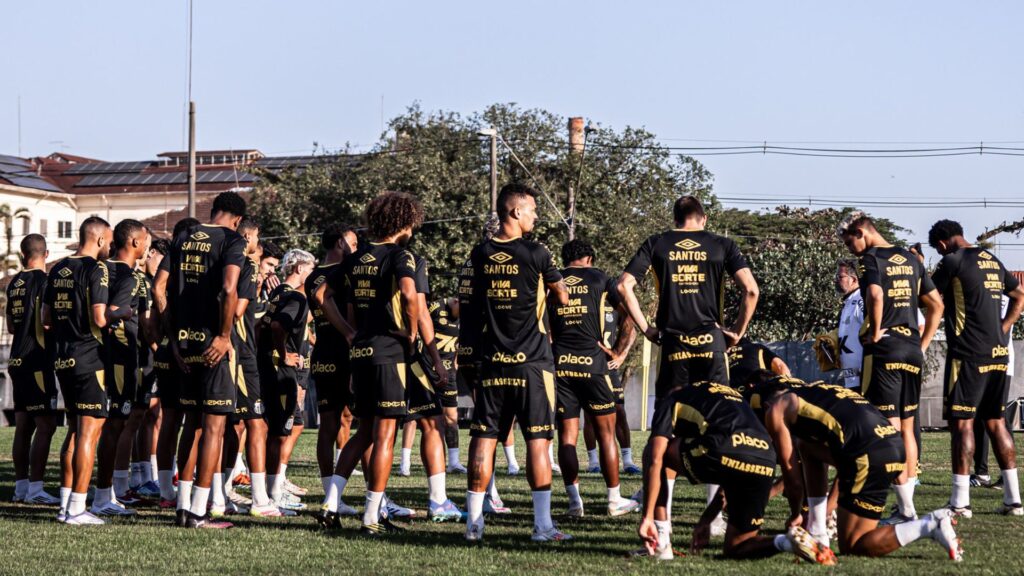 Santos vai receber o Flamengo pelo Brasileirão (Foto: Raul Baretta/SFC)