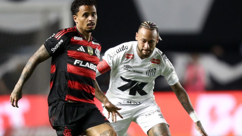Santos venceu o Flamengo pelo Brasileirão (Foto: Gilvan de Souza/CRF)