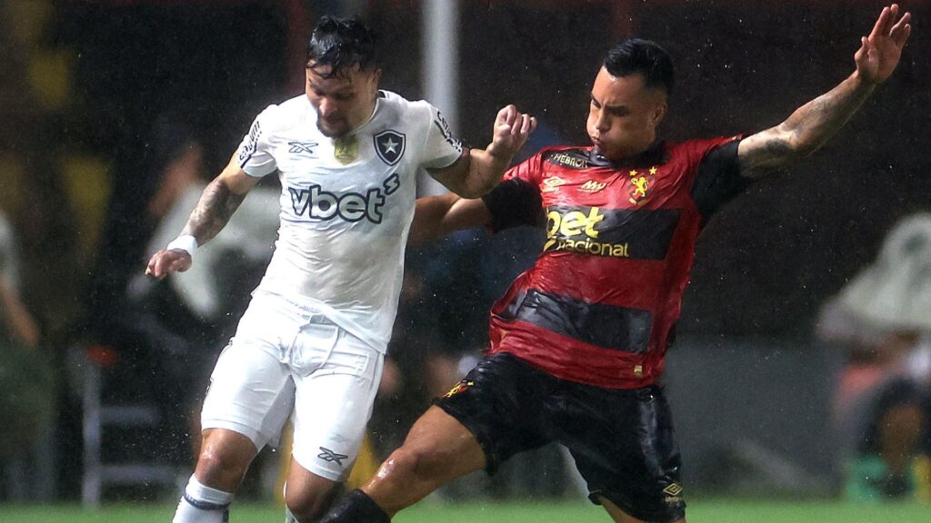 Botafogo venceu o Sport pelo Brasileirão (Foto: Vítor Silva/BFR)