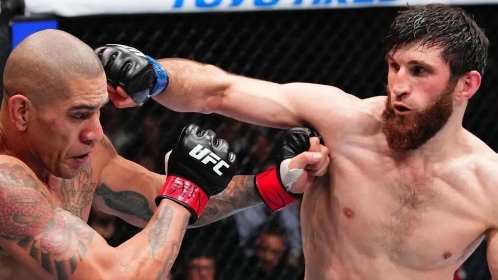 Alex Poatan e Ankalaev voltam a se enfrentar