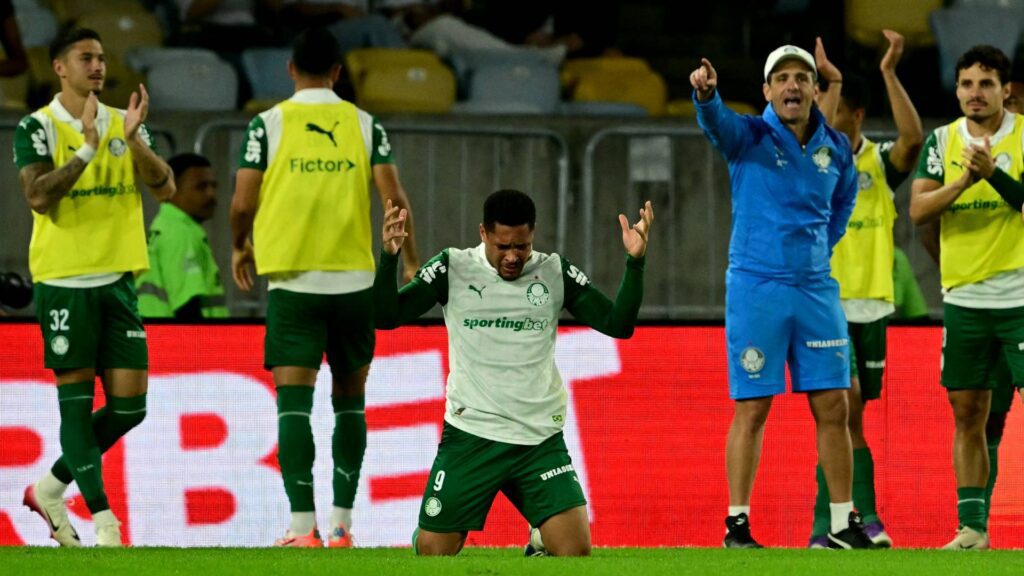 Palmeiras vai em busca do primeiro passo para a classificação. Foto: Pablo PORCIUNCULA / AFP