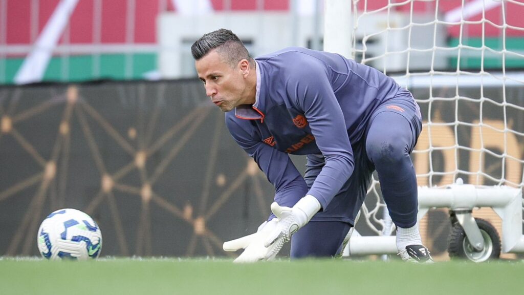 Fábio, goleiro do Fluminense (Foto: Marcelo Gonçalves/FFC)
